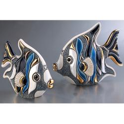 Baby Blue Angel Fish