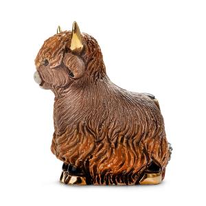 Highland Cow